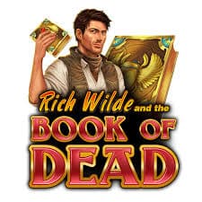 Book of Dead Evaluation: Professional Game Analysis