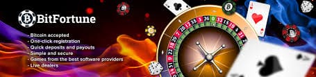 Understanding How ADA Functions at Bitfortune Casino